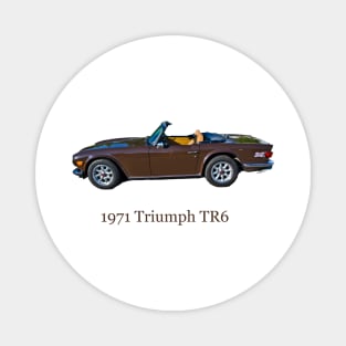 Triumph TR6 Magnet